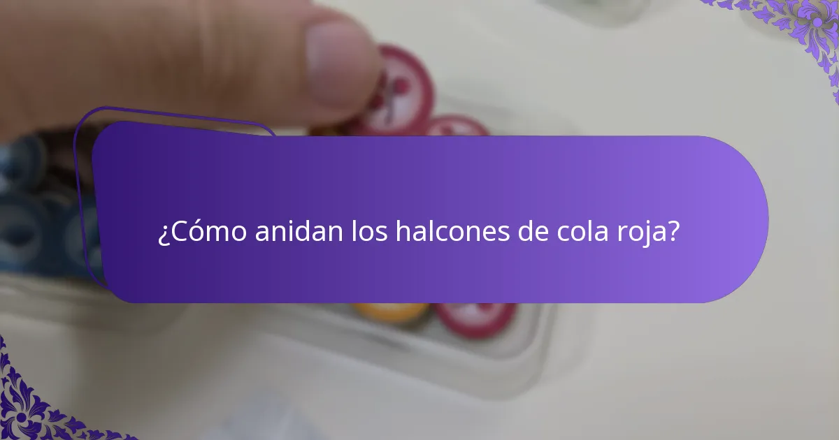 ¿Dónde viven los halcones de cola roja?