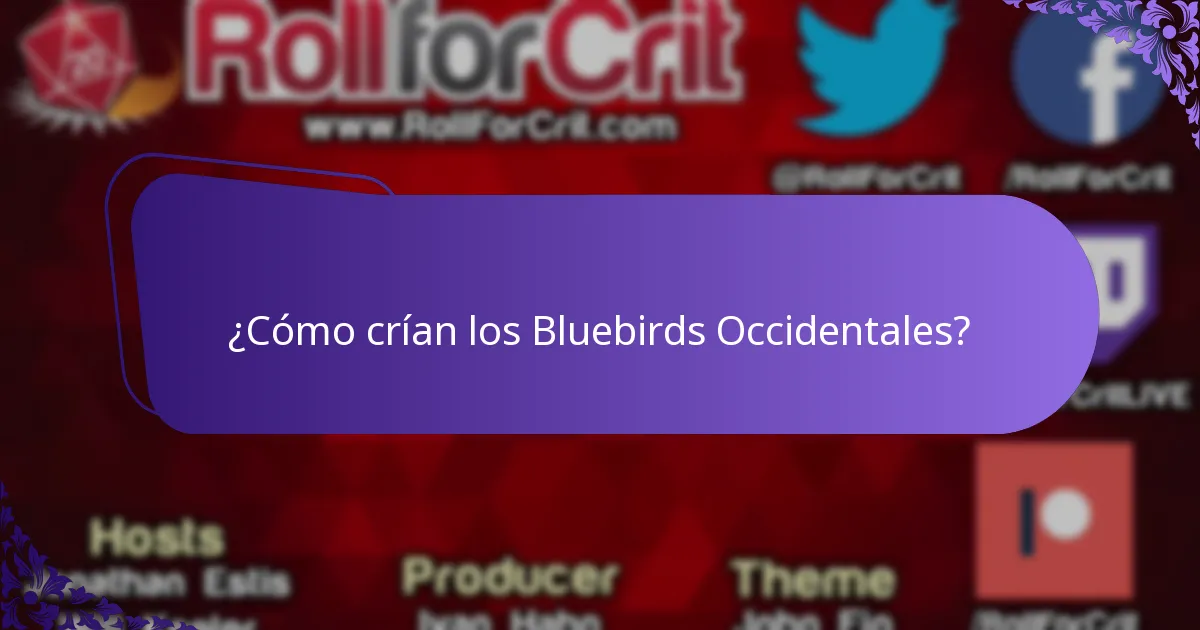 ¿Qué come el Bluebird Occidental?