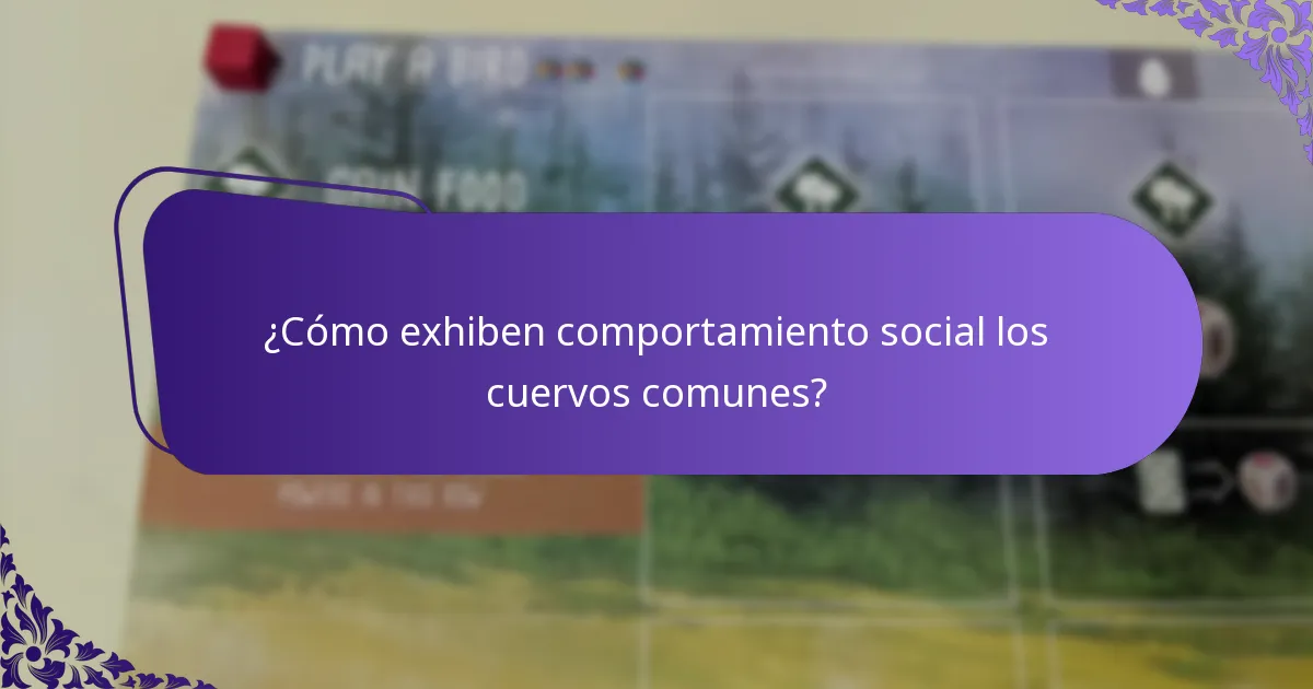 ¿Dónde vive el cuervo común?