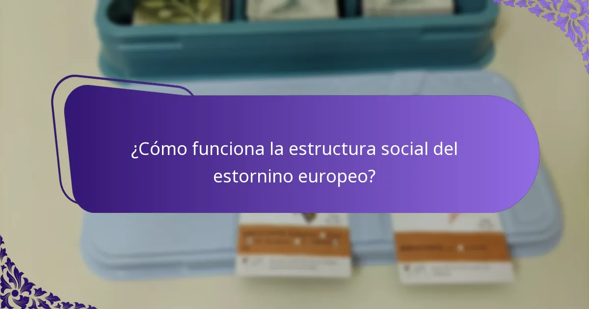 ¿Cómo funciona la estructura social del estornino europeo?