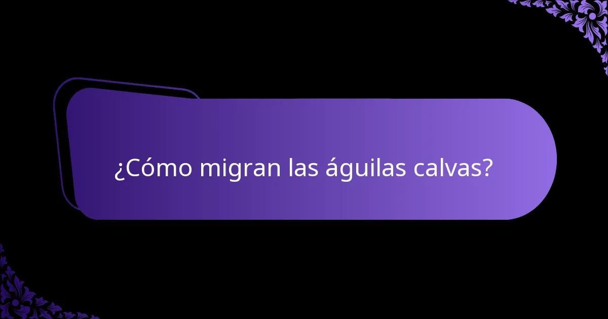 ¿Cómo migran las águilas calvas?