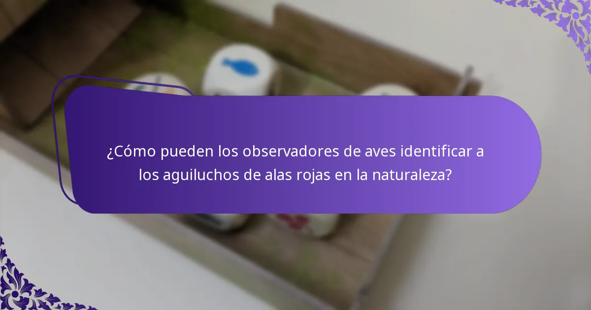 ¿Cuál es el hábitat del aguilucho de alas rojas?