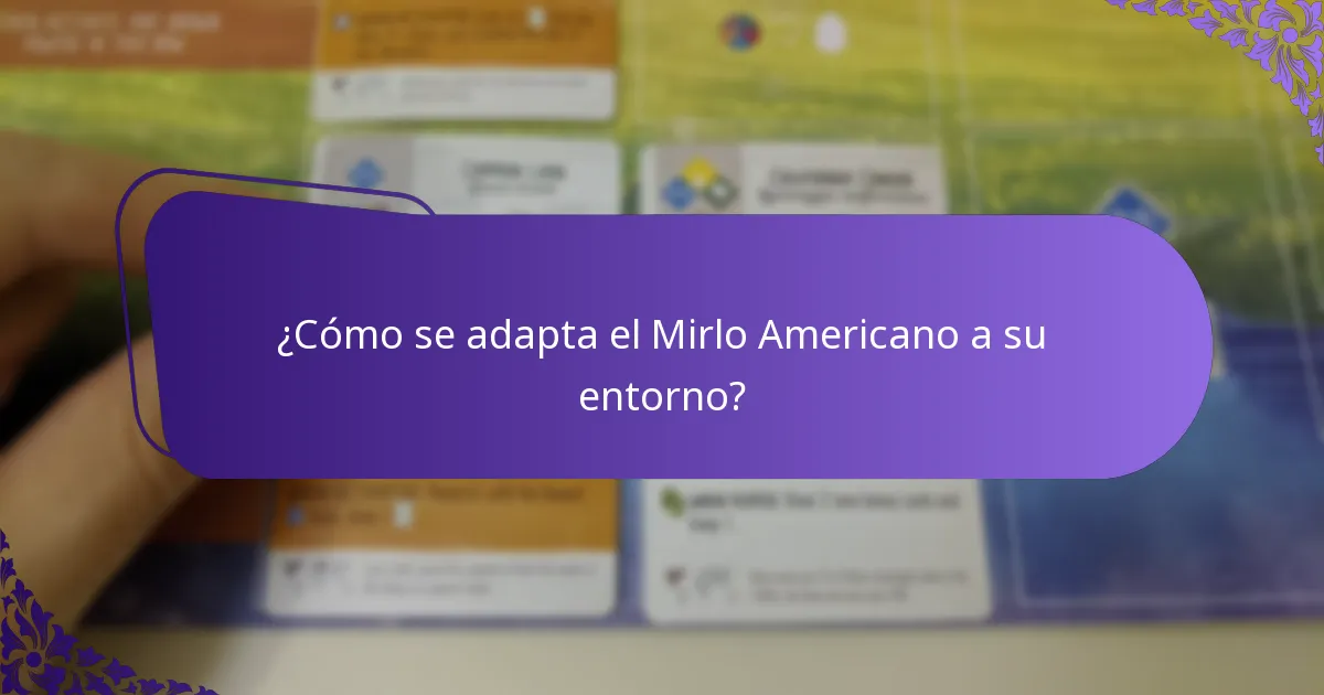 ¿Qué come el Mirlo Americano?