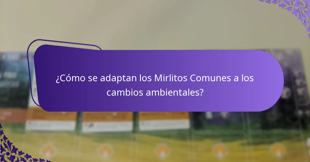 ¿Qué hábitats prefieren los Mirlitos Comunes?