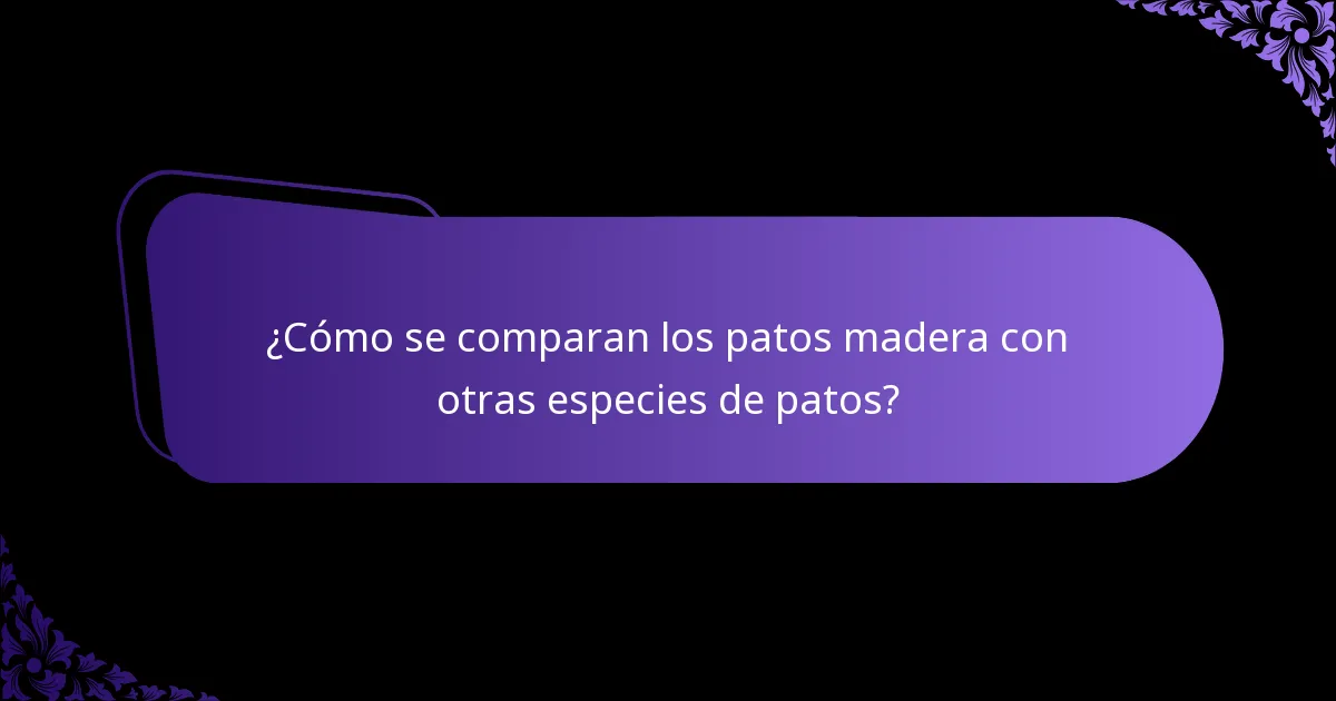 ¿Qué tipo de hábitat prefieren los patos madera?