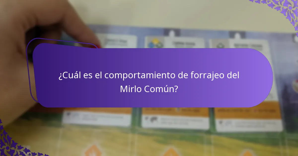 ¿Cuáles son los hábitos reproductivos del Mirlo Común?