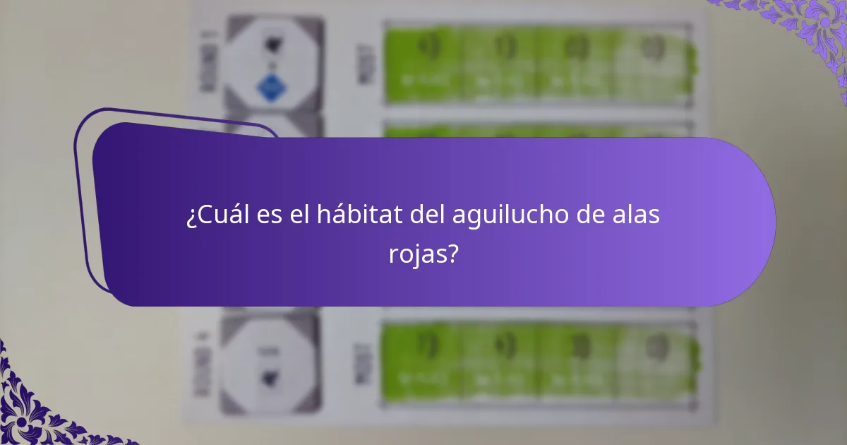 ¿Cómo pueden los observadores de aves identificar a los aguiluchos de alas rojas en la naturaleza?