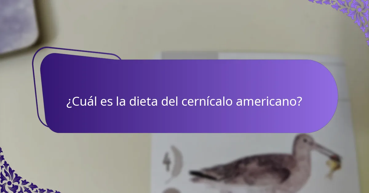 ¿Cuál es la dieta del cernícalo americano?