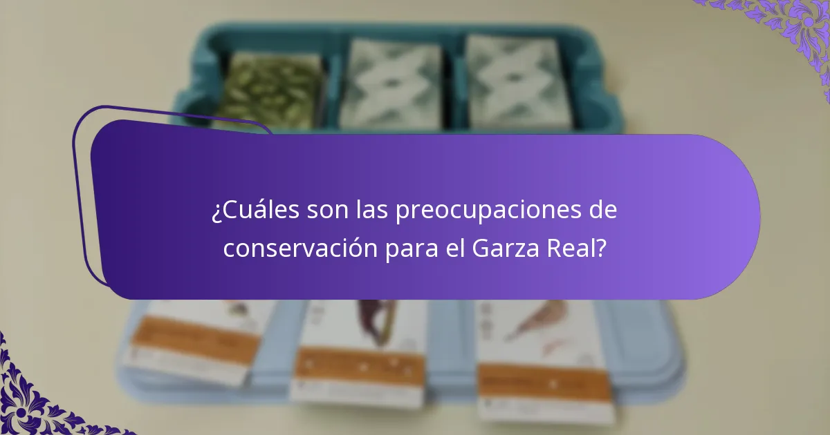 ¿Cuáles son las preocupaciones de conservación para el Garza Real?