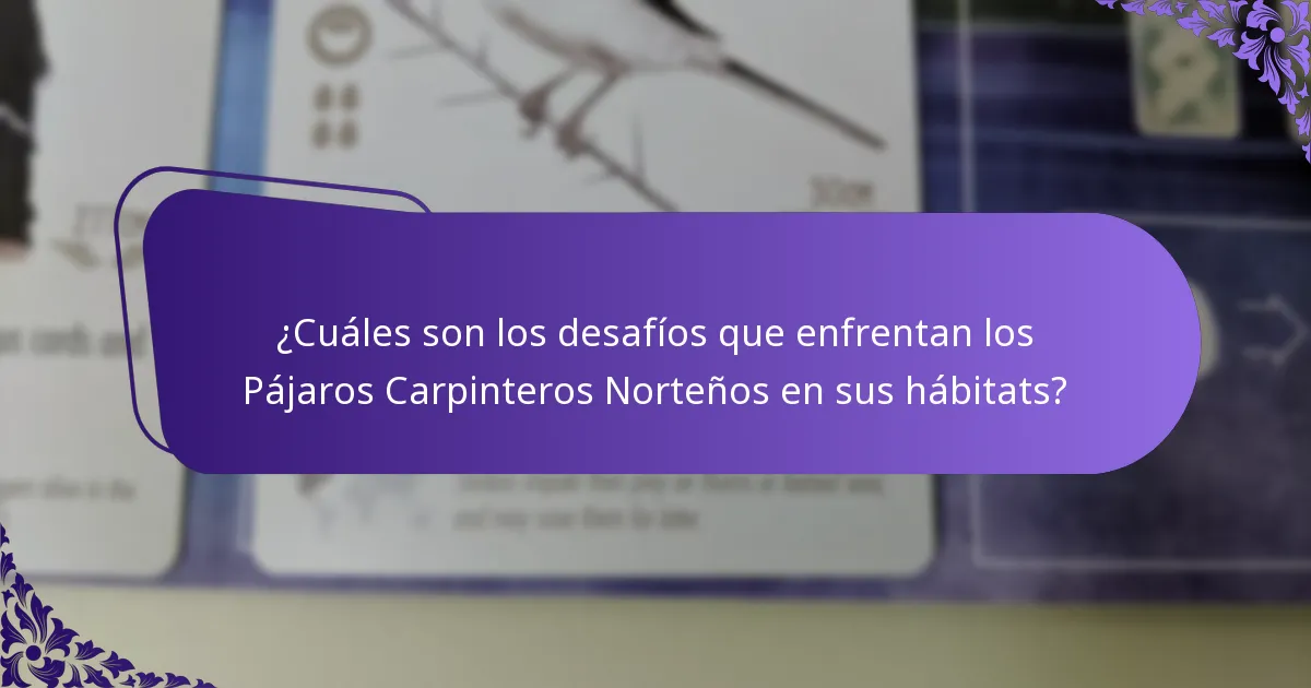 ¿Cuáles son los desafíos que enfrentan los Pájaros Carpinteros Norteños en sus hábitats?