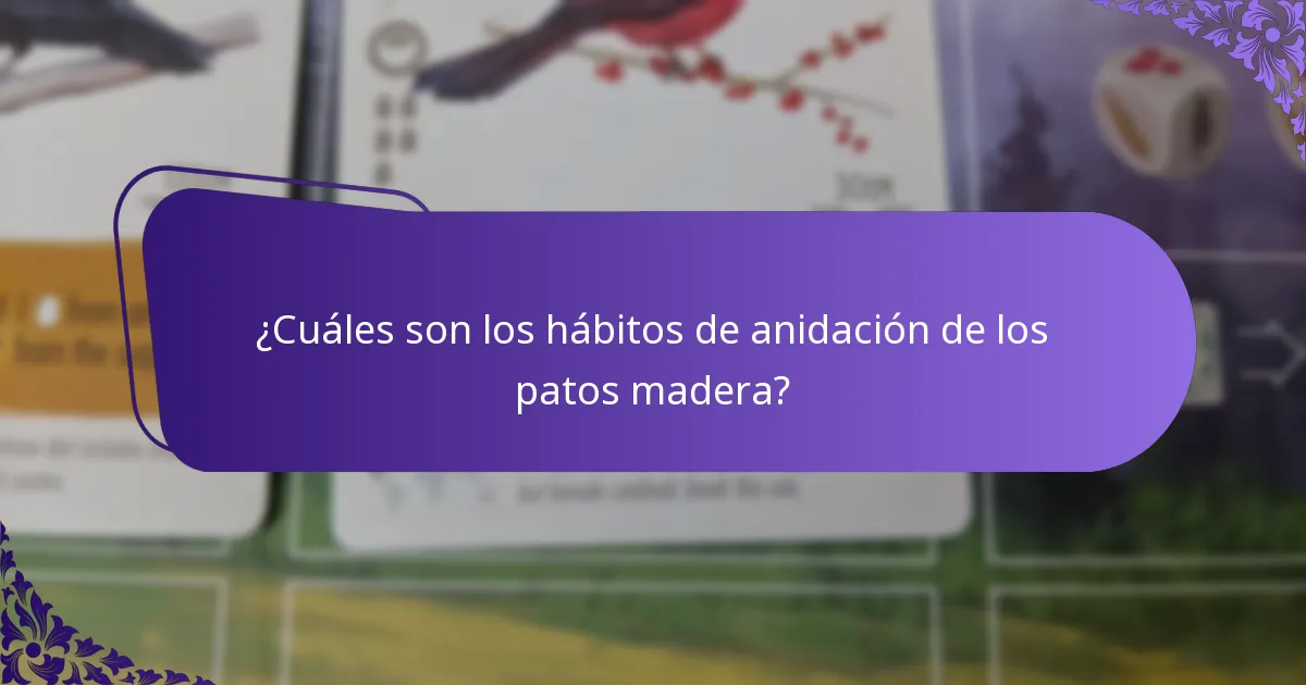 ¿De qué se compone la dieta de los patos madera?