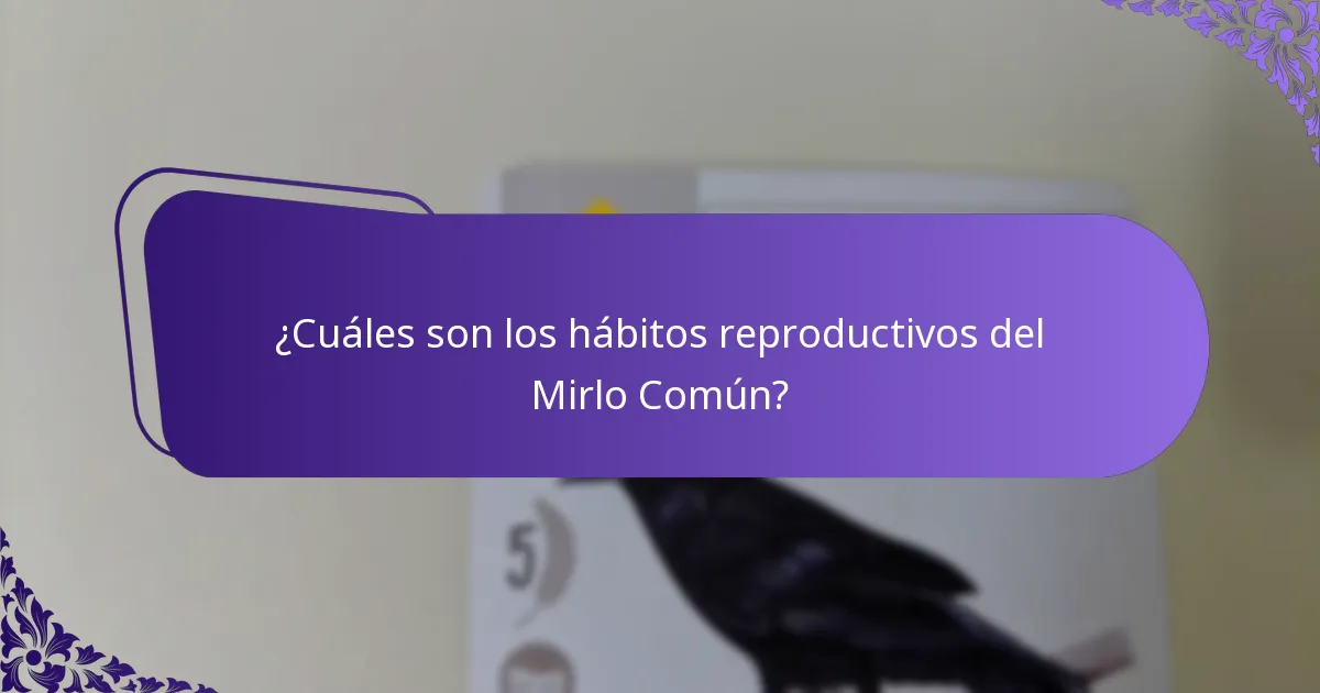 ¿Cómo se adaptan los Mirlitos Comunes a los cambios ambientales?