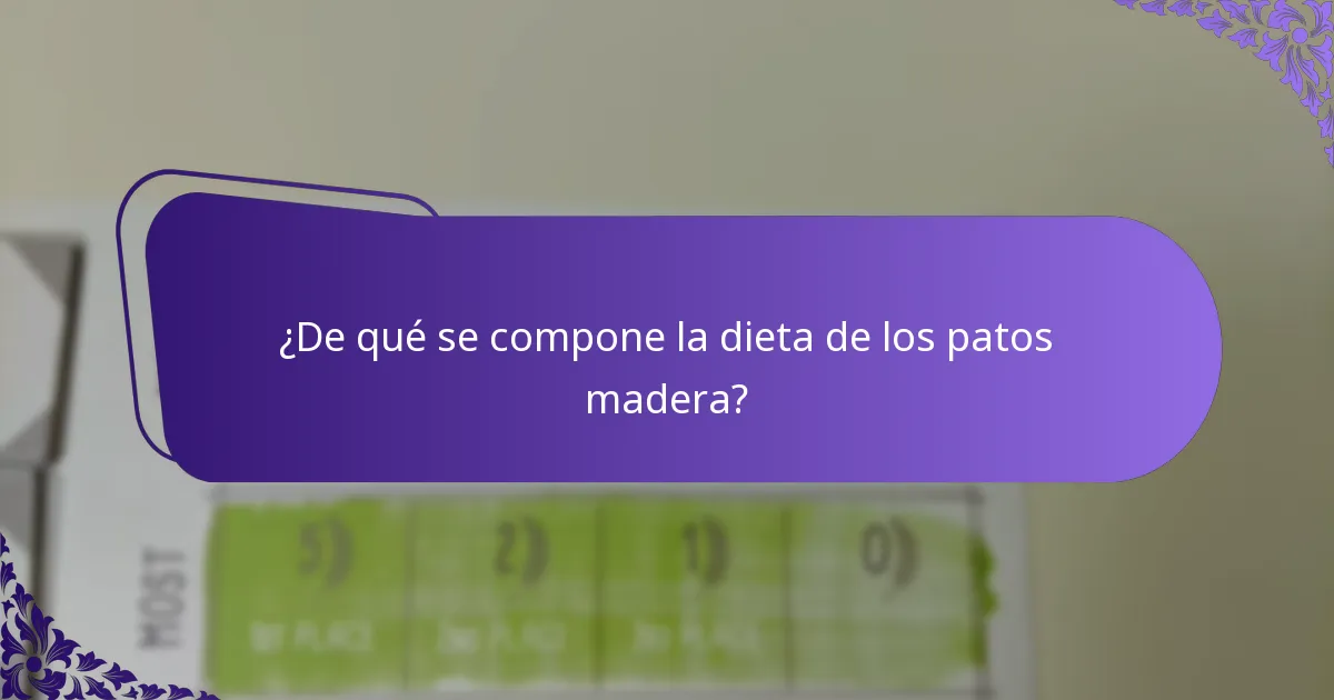 ¿Cómo se comparan los patos madera con otras especies de patos?