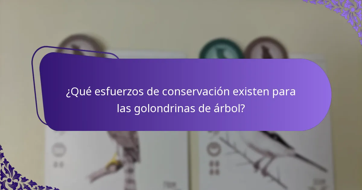 ¿Qué esfuerzos de conservación existen para las golondrinas de árbol?