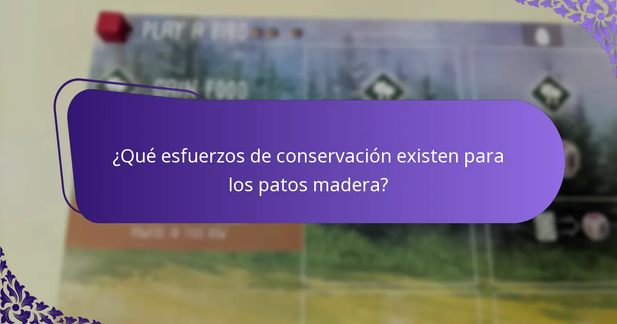¿Qué esfuerzos de conservación existen para los patos madera?